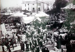 Feria de Baza, a mediados del siglo pasado. Foto cortesa de Estudio LUFRA