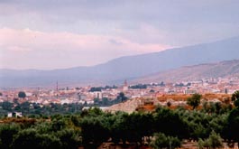 Vista general de Baza